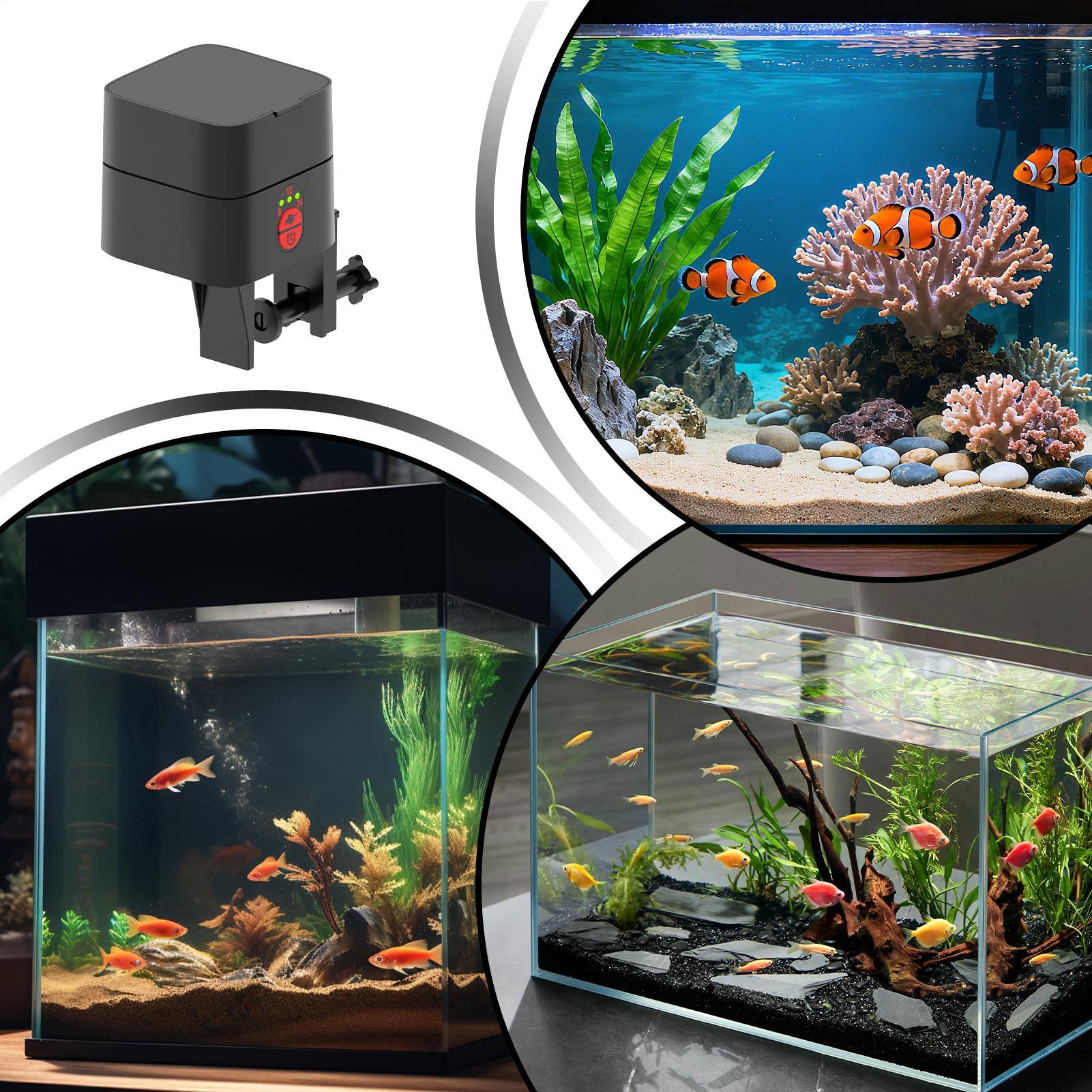 Distributore Automatico di Cib - Fishing Line Dispenser recensione e prezzo